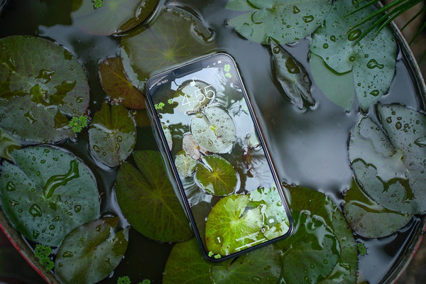 The Two iPhone 17 Screen Protector Problems Nobody Warned You About