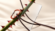 Clear Prime screen protector with a thorned stem, climbing rope and copper carabiner on an ivory background.